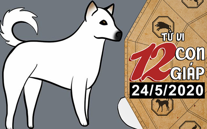 Tử vi chủ nhật ngày 24/5/2020 của 12 con giáp: Sửu được cầm tay chỉ việc, Tuất dễ vướng họa mất tiền Ảnh 2
