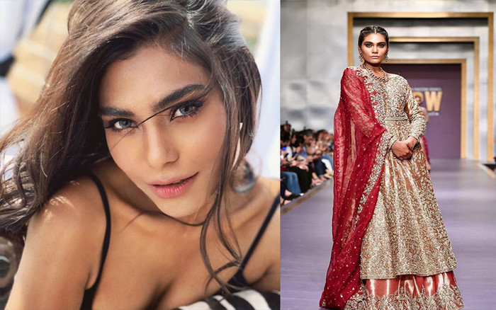 Nữ người mẫu nổi tiếng Pakistan qua đời trong tai nạn máy bay Ảnh 2