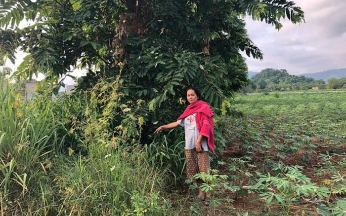 Lần theo tiếng khóc nỉ non, người phụ nữ phát hiện sự thật kinh hãi phía sau bụi rậm Ảnh 2