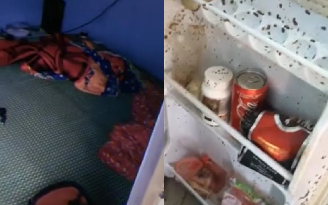 Trở lại phòng trọ sau nhiều tháng nghỉ dịch, nữ sinh 'khóc thét' khi chứng kiến cảnh tượng 'nổi da gà' bên trong tủ lạnh Ảnh 2
