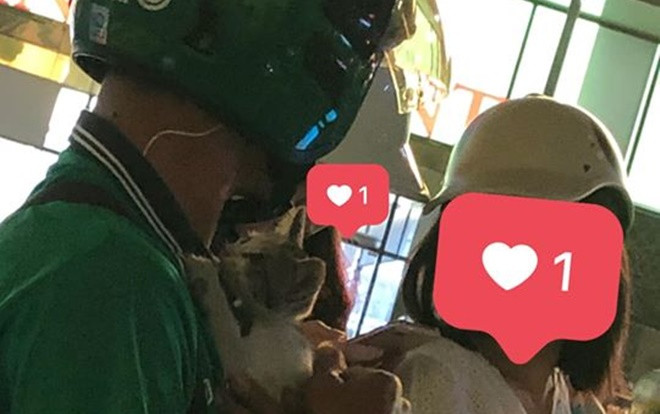 Chàng trai chạy Grab ôm bé mèo con bị bỏ rơi đi khắp phố tìm người nhận nuôi khiến nhiều người cảm động Ảnh 2