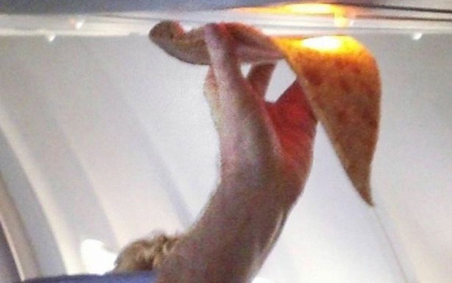 Hành khách 'hâm nóng' miếng bánh pizza dưới đèn LED trên máy bay Ảnh 2