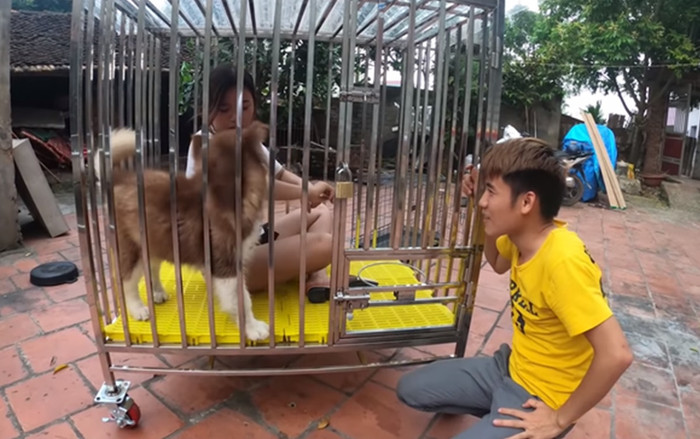 Con trai bà Tân Vlog gây xôn xao mạng xã hội vì hành động nhốt em gái vào cũi chó Ảnh 2