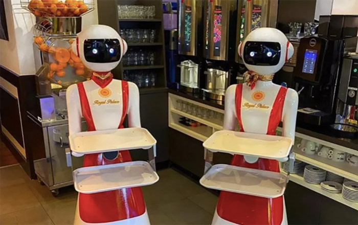 Nhà hàng Hà Lan dùng robot phục vụ thực khách thời COVID-19 Ảnh 2