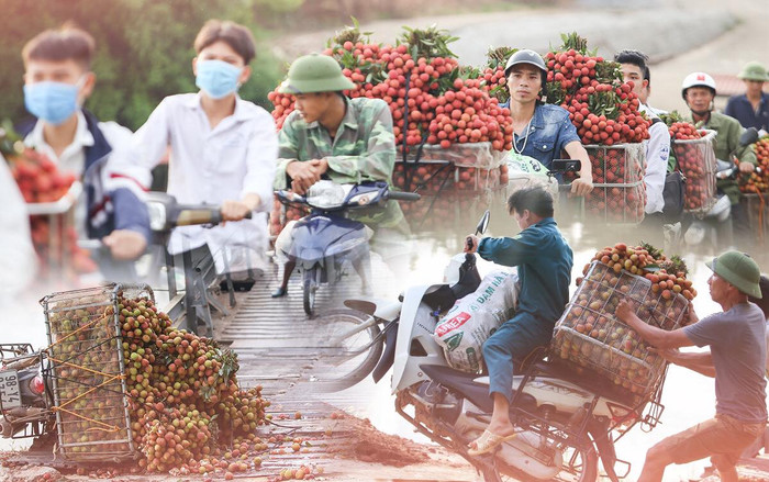 Dở khóc dở cười cảnh người dân vồ ếch, cắm đầu xuống sông khi chở vải qua cầu phao ‘tử thần’ Ảnh 2