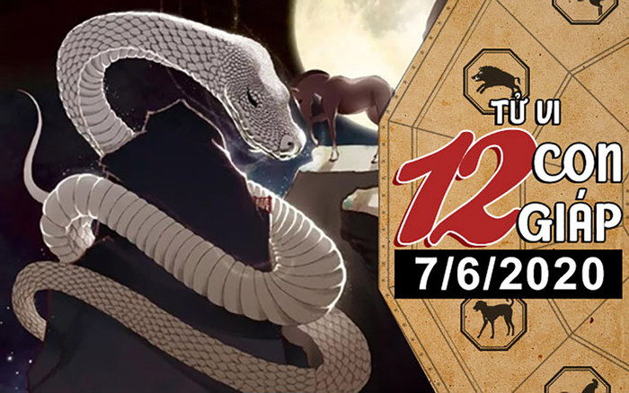 Tử vi chủ nhật ngày 7/6/2020 của 12 con giáp: Mão tài chính eo hẹp, Tỵ vượng tài lộc Ảnh 2