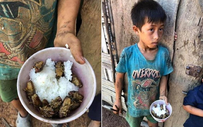 Lãnh đạo huyện nói gì về vụ 4 anh em ăn cơm nguội với ve sầu ở Đắk Lắk? Ảnh 2