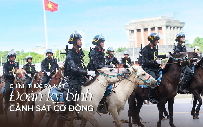 Đoàn kỵ binh cảnh sát cơ động diễu hành trước quảng trường Ba Đình Ảnh 2