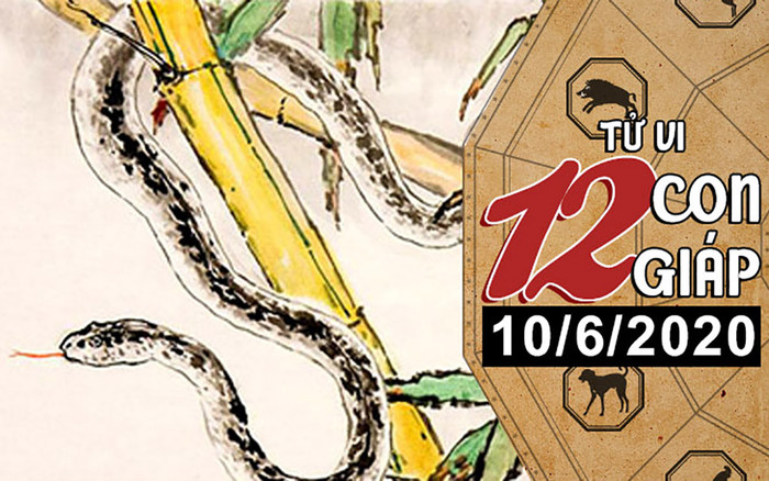 Tử vi thứ 4 ngày 10/6/2020 của 12 con giáp: Thìn hãy đề phòng họa mất tiền, Tỵ vượng tài lộc Ảnh 2