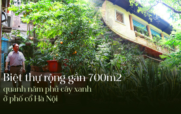 Ngắm biệt thự rộng gần 700m2 quanh năm phủ cây xanh mát rượi của cặp vợ chồng chủ hiệu vàng giàu nức tiếng một thời ở phố cổ Hà Nội Ảnh 2