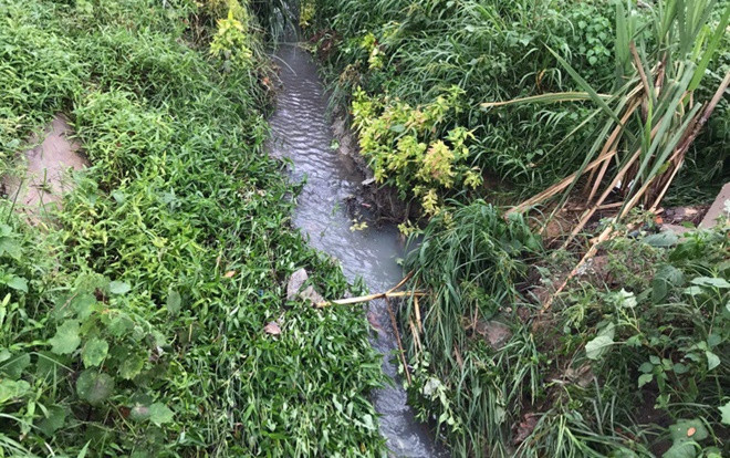 Tắm mưa, bé trai 4 tuổi ở Bình Dương lọt xuống cống bị nước cuốn tử vong thương tâm Ảnh 2