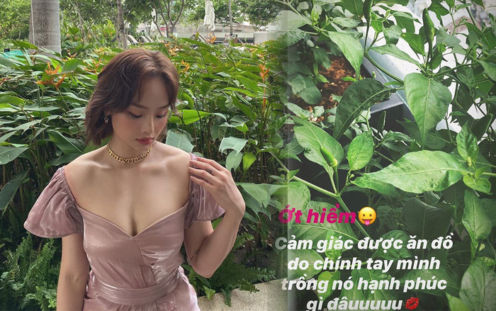 Miu Lê chia sẻ cuộc sống thay đổi trong 2 năm gần đây: Sáng dậy nấu ăn rồi đi tập gym, trưa tối cũng vậy Ảnh 2