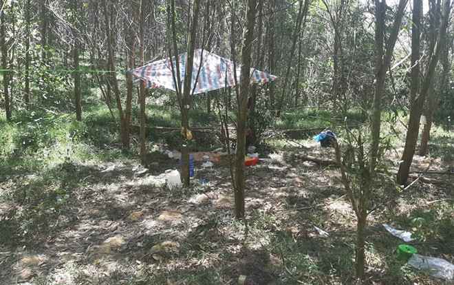 Khởi tố vụ án bé trai 5 tuổi ở Nghệ An tử vong trong rừng Ảnh 2