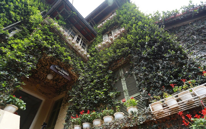 Ngôi biệt thự quanh năm phủ kín cây xanh, vào nhà mát rượi như lạc vào ‘cõi tiên’ ở Hà Nội Ảnh 2