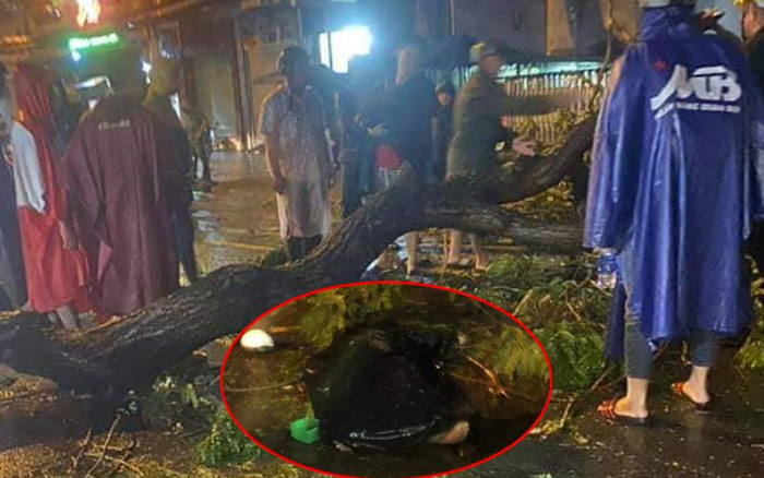 Cây xanh gãy đổ, đè chết người ở TP.HCM Ảnh 2