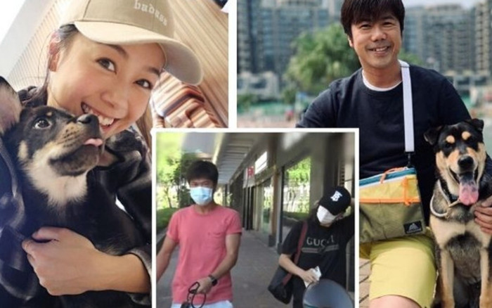 Sau lời chúc phúc cho bạn trai cũ Mã Quốc Minh, Huỳnh Tâm Dĩnh cùng bạn trai tin đồn dắt thú cưng đi phẫu thuật Ảnh 2