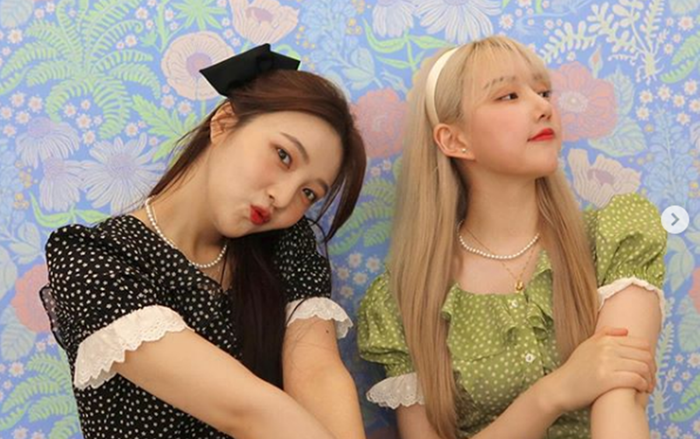 Cùng 'soi' lovestgram của Joy và Yerin, bảo sao các fan không ghen tị Ảnh 2