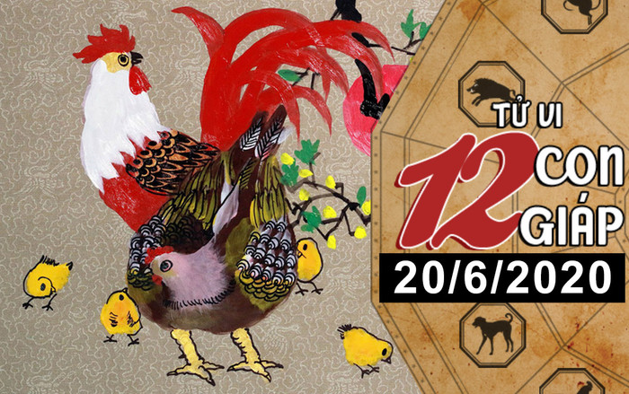 Tử vi thứ 7 ngày 20/6/2020 của 12 con giáp: Ngọ thu nhập cải thiện, Dậu nên cẩn thận về túi tiền Ảnh 2