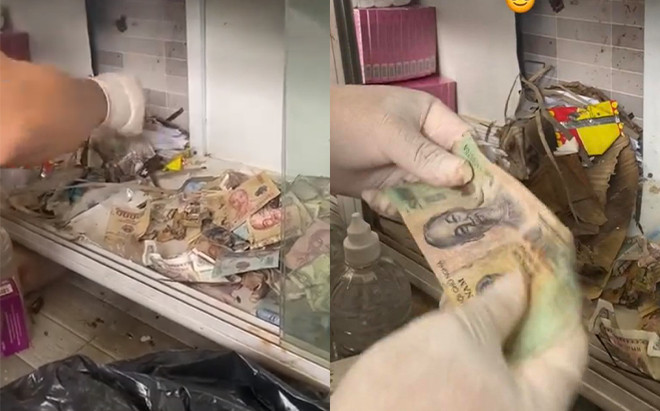 Nghe tiếng lục đục trong kệ tủ, thanh niên truy vết không ngờ phát hiện 'kho báu Ảnh 2