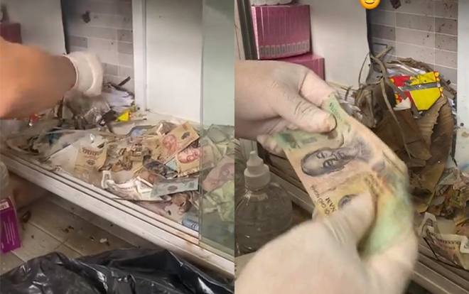 Nghe tiếng lục đục trong kệ tủ, thanh niên truy vết không ngờ phát hiện 'kho báu Ảnh 1