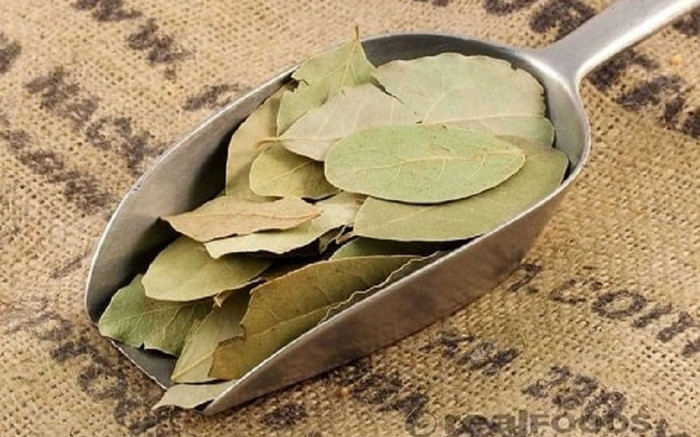 Loại lá chuyên dùng nấu phở, chỉ 8 tháng đầu năm xuất khẩu thu về 22 tỷ đồng Ảnh 2