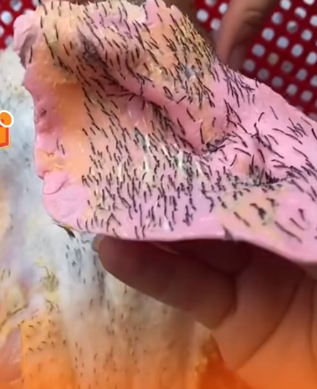 ...kết quả là rất nhiều lông vịt nhỏ đã bám vào miếng sáp, khiến việc nhổ lông vịt trở nên nhanh gọn hơn