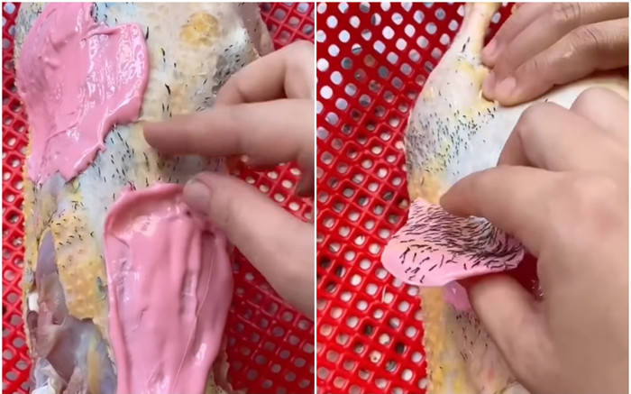 Thấy bà dì hàng xóm vất vả nhổ lông vịt, cô gái nảy ra sáng kiến khó ngờ Ảnh 2