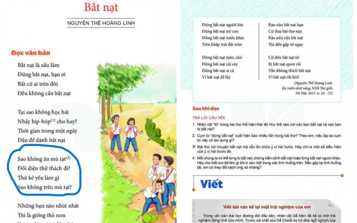 Tác giả bài thơ Bắt nạt: 'Không quá tha thiết tác phẩm vào sách giáo khoa' Ảnh 2