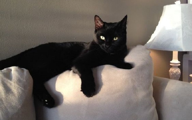 Vì sao Thứ 6 ngày 13 bị coi là ngày kém may mắn? Ảnh 2