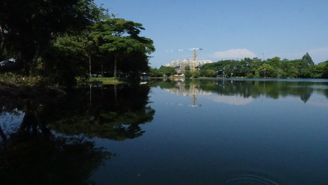 6 con cá sấu xổng chuồng ra hồ nước của Công viên Trung tâm văn hoá An Hoà. Ảnh: Tiền Phong