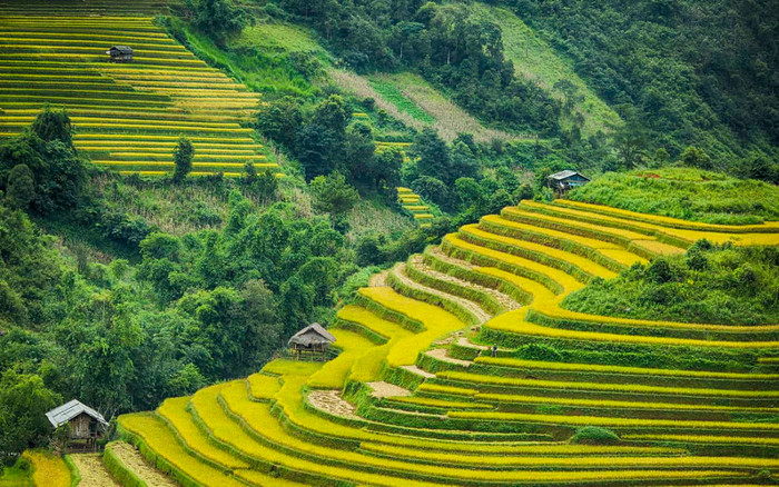 Vẻ đẹp miền núi Tây Bắc được tái hiện trong sự kiện âm nhạc tầm quốc tế Ảnh 2