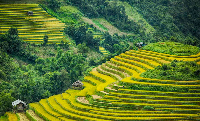 Vẻ đẹp miền núi Tây Bắc được tái hiện trong sự kiện âm nhạc tầm quốc tế Ảnh 3