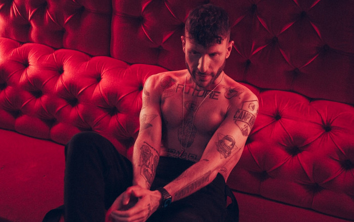 Sau BlackPink, thêm một nghệ sĩ thế giới đến Việt Nam biểu diễn Ảnh 2