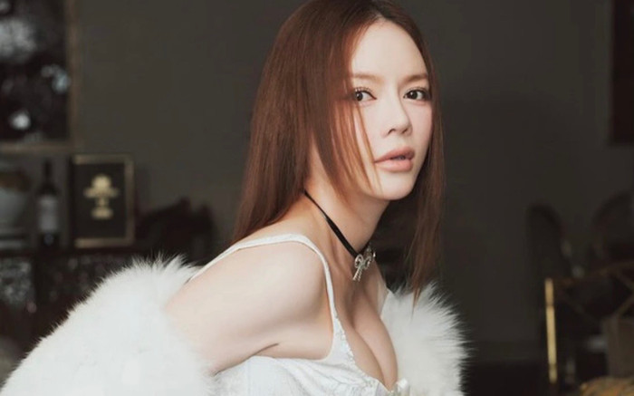 Lý Nhã Kỳ phải mua 5 két sắt mới chứa hết kim cương trong nhà Ảnh 2