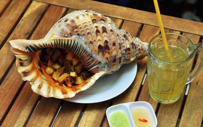 Loài ốc mang tên 'hoàng hậu' đắt xắt ra miếng vẫn khiến dân Việt chi tiền lùng mua Ảnh 2