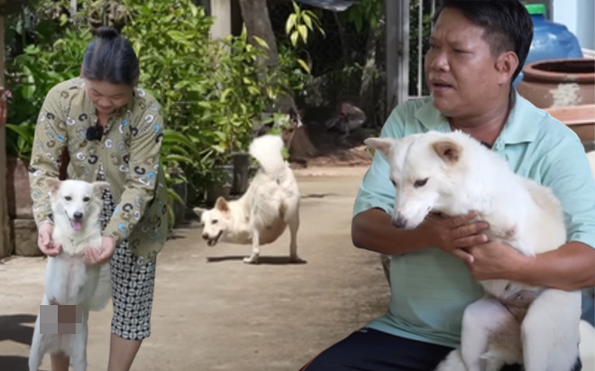 Nhặt chú chó 2 chân bị bỏ rơi, 2 năm sau cặp vợ chồng xe ôm bỗng đổi đời Ảnh 2