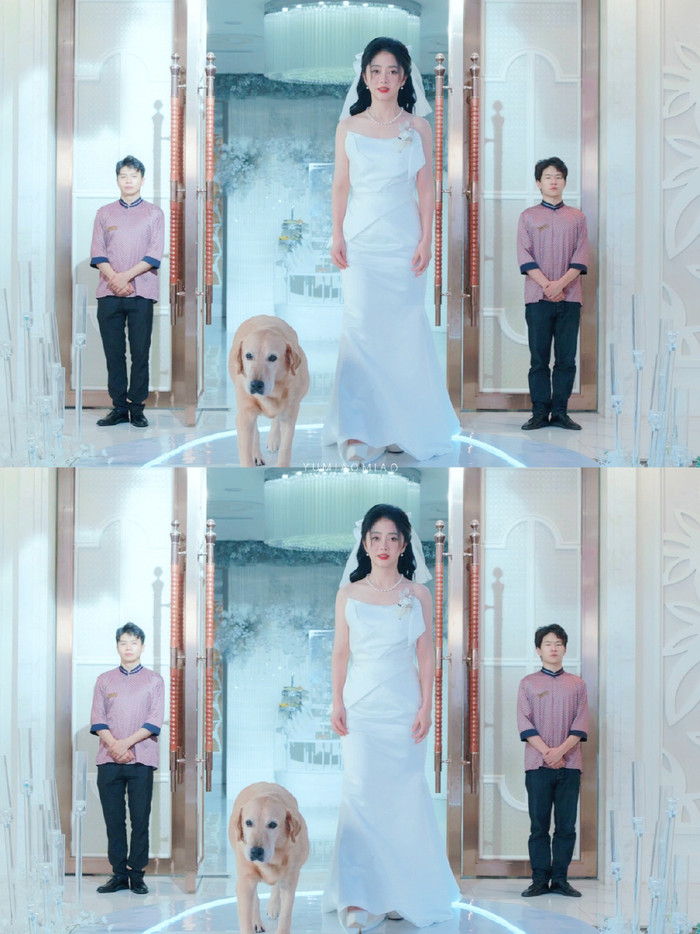 Đàm Tùng Vận thông báo chuyện kết hôn, danh tính chú rể gây chú ý Ảnh 2