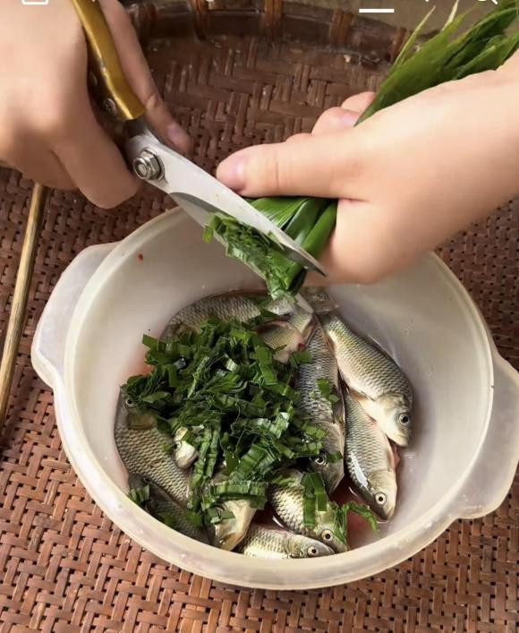 Cá chép được bà con thả ở dưới ruộng. Tháng 5, tháng 6 trồng lúa. Gần đến rằm tháng 7, khoảng ngày 11-12 thì người ta thường tháo ruộng và mang cá về để ngâm cho sạch sẽ. Đến ngày 13-14, các gia đình bắt đầu làm bánh. 