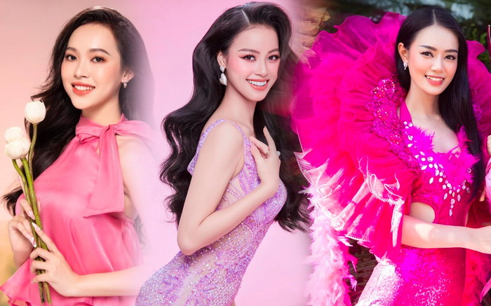 Miss International 2023 vừa kết, ai là người được fan đề xuất kế nhiệm Phương Nhi? Ảnh 2