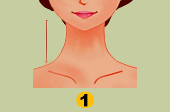 Chiều dài cổ hé lộ tính cách ẩn của 1 người, bất ngờ về nghề nghiệp tương lai Ảnh 1