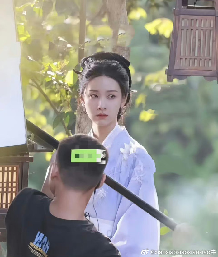 Chị gái Bạch Lộc khiến gây thất vọng, còn đâu bản sao hoàn hảo của Lưu Diệc Phi Ảnh 2