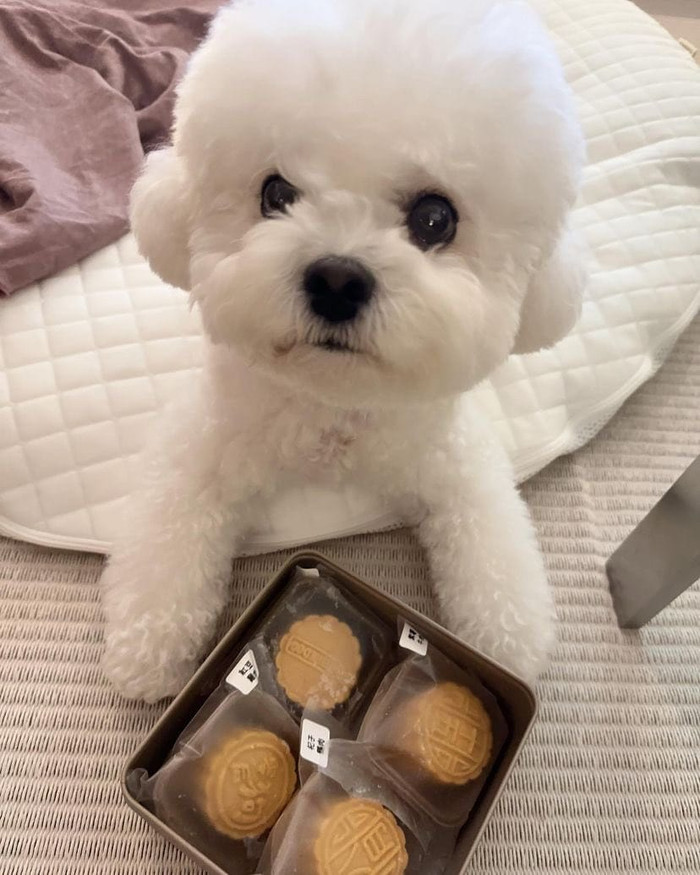 Hậu công khai tình yêu, Song Hye Kyo gây sốt khi làm điều này cho đối phương Ảnh 3