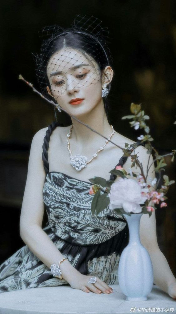 Triệu Lệ Dĩnh gây sốc vì từng khiến một mỹ nhân Hoa ngữ tiêu tan cả sự nghiệp Ảnh 4