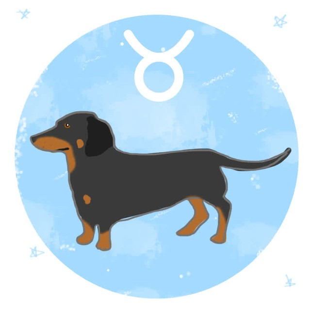 3 chòm sao tình yêu thăng hoa, hạnh phúc đong đầy nhất nửa cuối tháng 10 Ảnh 1