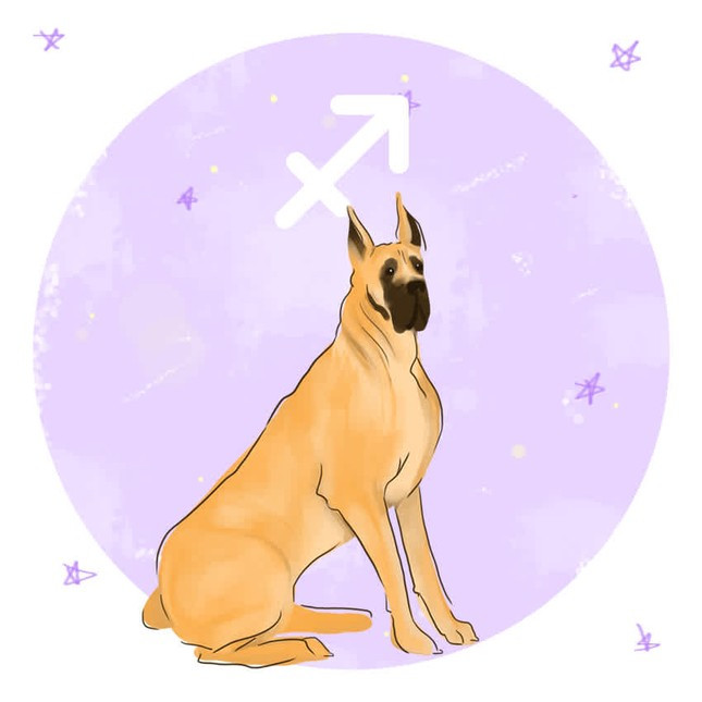 3 chòm sao tình yêu thăng hoa, hạnh phúc đong đầy nhất nửa cuối tháng 10 Ảnh 3