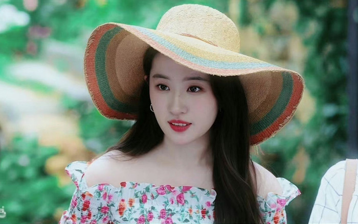 Lưu Diệc Phi xác nhận 'hẹn hò' cùng một sao nam đình đám, danh tính nhà trai gây chú ý Ảnh 2