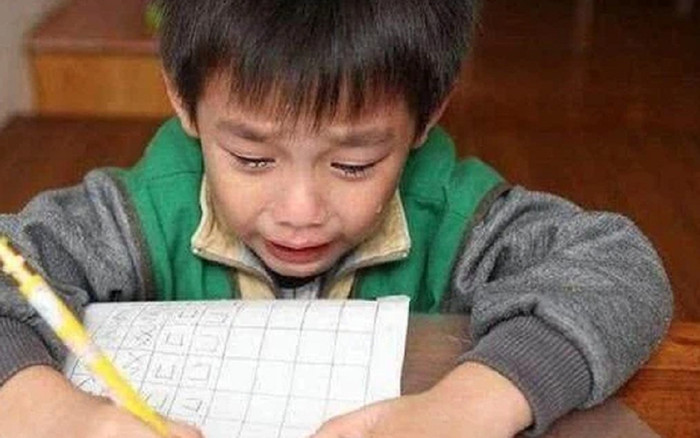 Cậu bé làm văn kể ước mơ được trở thành con vật này, cô giáo đọc xong liền chấm 100 điểm Ảnh 2