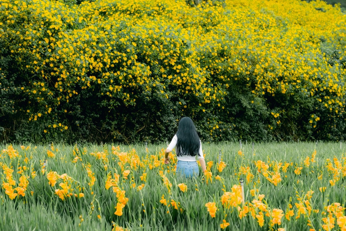 Ảnh: Trần Hữu Cường