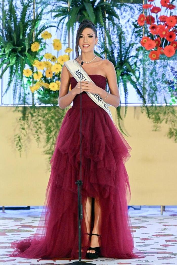 Đối thủ của Bùi Quỳnh Hoa bị tố 'gian lận', netizen tag chủ tịch Miss Universe 'méc' Ảnh 2