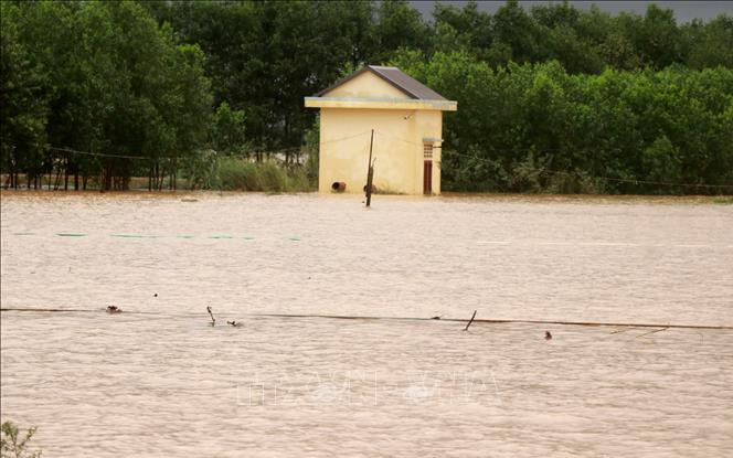 Mưa lớn kéo dài, một huyện ở Quảng Trị có 800 nhà dân bị ngập lụt Ảnh 2